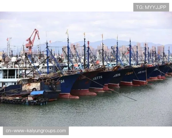 台风带来海鲜盛况，惠州渔业迎丰收，惠州台风停课吗